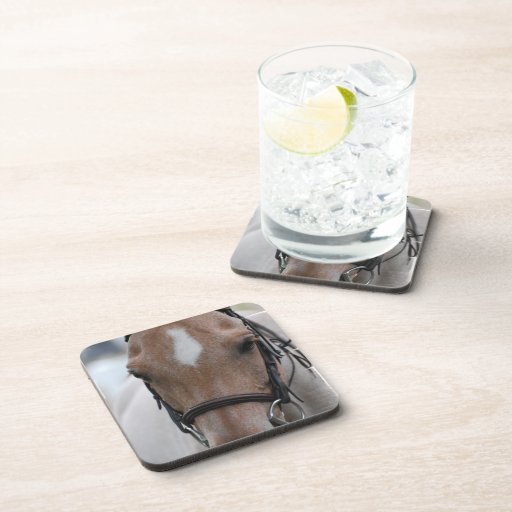 Strawberry Roan Horse Set of Coasters