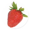 strawberry stickers by VioDePhoto strawberry stickers