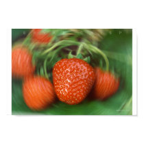 Strawberry Swirl Digital Photo Art Print
