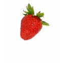 strawberry t-shirts
