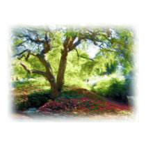 Strawbery Banke Poster posters