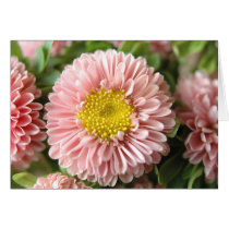 Strawflowers cards by mlane53 Strawflowers cards