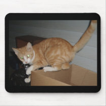 stray cat mousepads