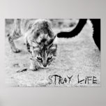 Stray life - poster