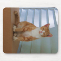 stray mousepads