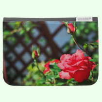 Stray Rose macro photography flower shoot caseable cases