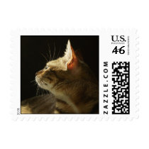 Strayhorn stamp by TheImagePlant Strayhorn stamp