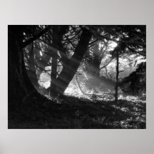 Streak of Light Print