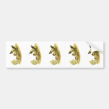 Streaked-throated Swallow Bumper Sticker