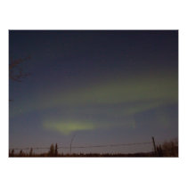 Streaks of Northern Lights Photo