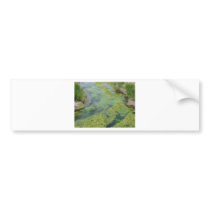 stream bumper stickers by pinkypetals stream bumper stickers