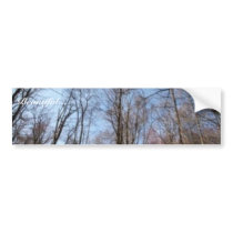 Stream bumper stickers by animalpark Stream bumper stickers