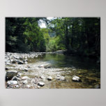 Stream flowing through trees print