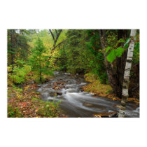 Stream in Duluth Woods posters by Landscape_Prints Stream in Duluth Woods posters