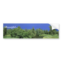 Stream in National Bison Range bumper stickers by animalpark Stream in National Bison Range bumper stickers