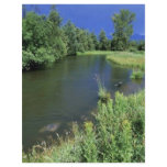 Stream in National Bison Range, Montana flyers