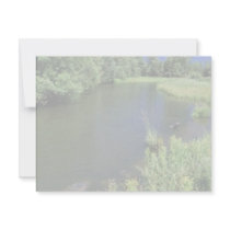 Stream in National Bison Range, Montana Custom Announcements