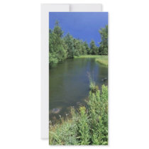 Stream in National Bison Range, Montana rack cards