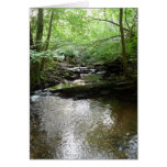 "Stream in Northumberland Woods" (2) Greeting Card