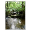 "Stream in Northumberland Woods" (2) cards