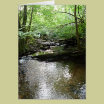 "Stream in Northumberland Woods" (2) cards