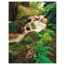 Stream in the forest personalized flyer