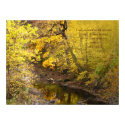 Stream in the Forest posters by MAPASUE Stream in the Forest posters