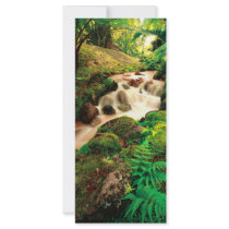 Stream in the forest customized rack card