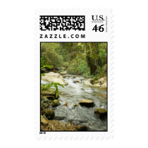 Stream In The Hills postage