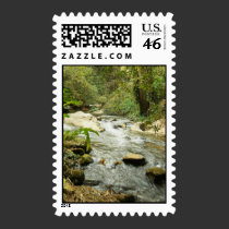 Stream In The Hills Postage Stamp