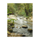 nature-postcards, stream-postcards,