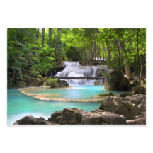Stream in the Tropical Forest Invites
