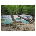 Stream in the Tropical Jungle flyers