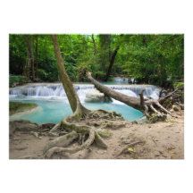 Stream in the Tropical Jungle Personalized Invitations