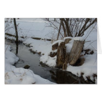 Stream in Winter Greeting Card