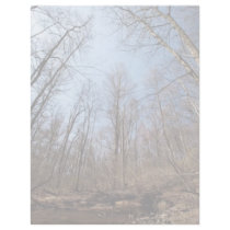 Stream letterhead