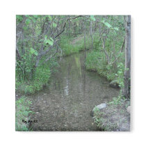 Stream Magnet