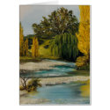 Stream New Zealand cards