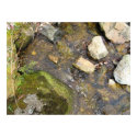 stream of consciouness posters by alanart stream of consciouness posters