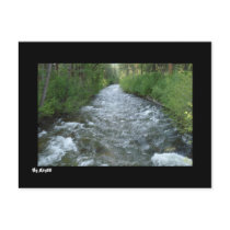 Stream Post Card