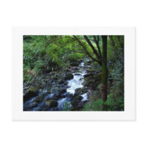 Stream postcards