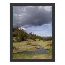 Stream posters