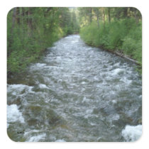 Stream Sticker