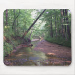 Streambed mousepads