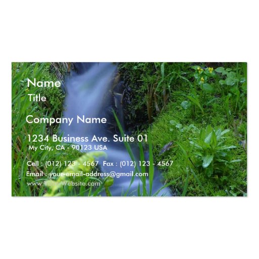 Streams Brooks Meadows Mosses Business Card (front side)