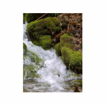 Streams Brooks Water Moss Leaves photo sculptures by lifesphere Streams Brooks Water Moss Leaves photo sculptures
