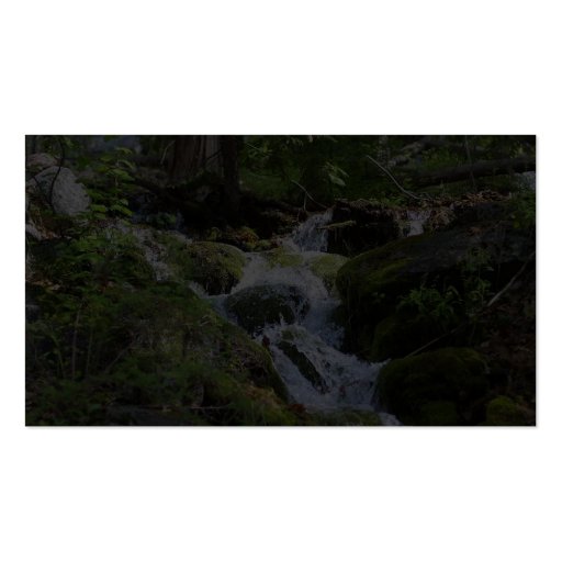 Streams Moss Water Forests Rocks Business Cards (back side)