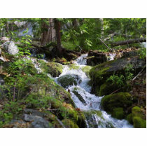 Streams Moss Water Forests Rocks photo sculptures by lifesphere Streams Moss Water Forests Rocks photo sculptures
