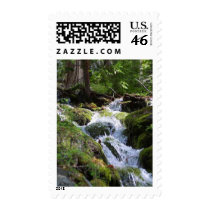Streams Moss Water Forests Rocks postage by lifesphere Streams Moss Water Forests Rocks postage