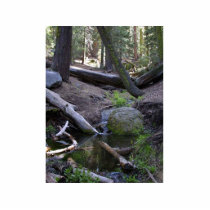 Streams Rocks Water Moss Forrest Trees photo sculptures by lifesphere Streams Rocks Water Moss Forrest Trees photo sculptures